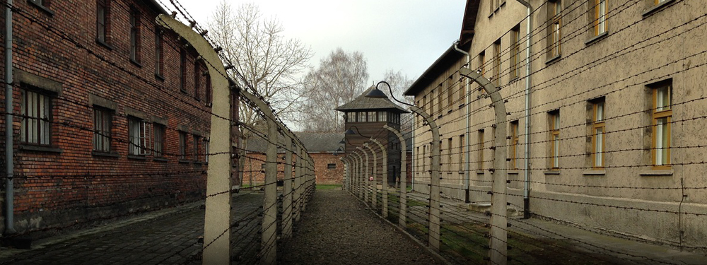 campo di concentramento di Auschwitz immagine fotografica