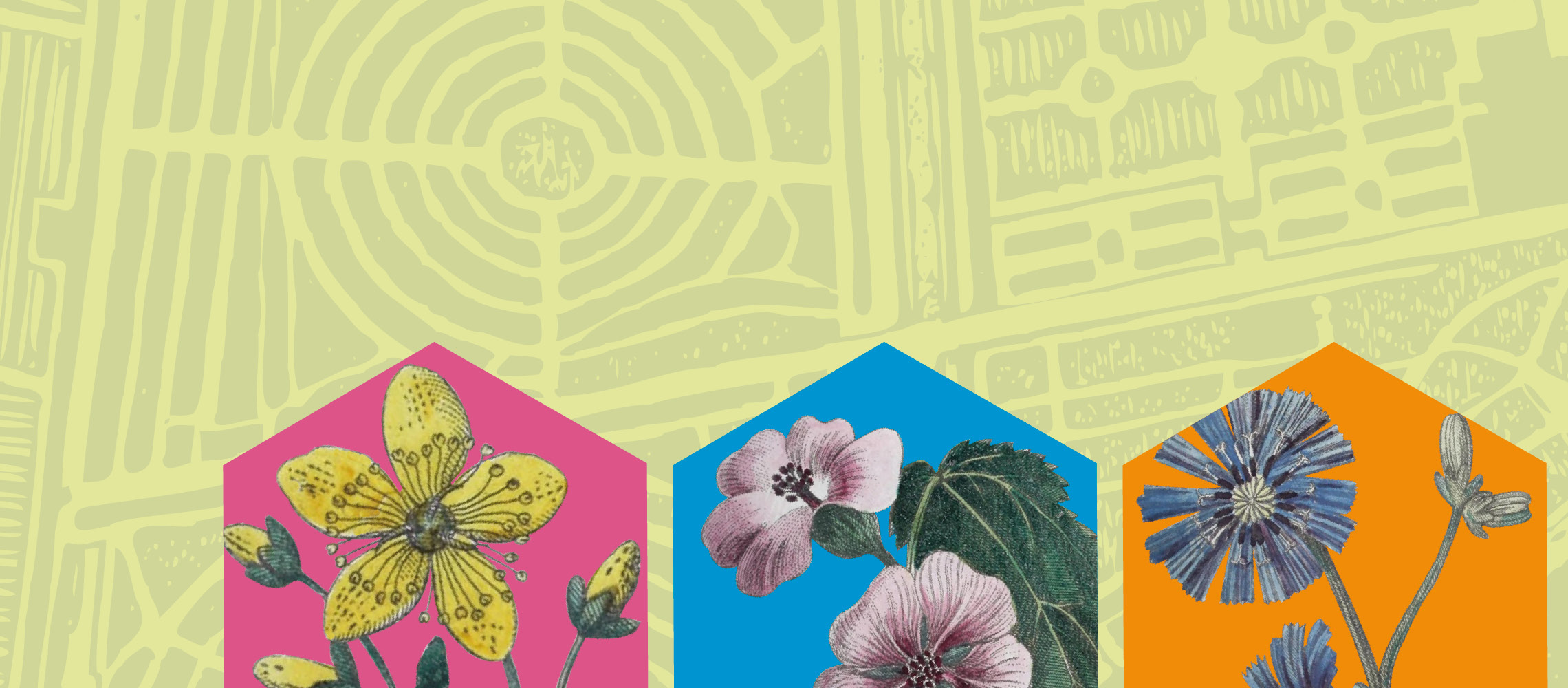 Welfare culturale. Il ruolo dei giardini e delle biblioteche Mercoledì 21 maggio 2025 ore 17