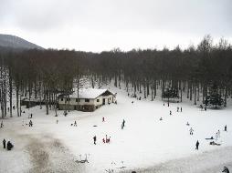 Immagine - Amiata: mozione chiede stato di calamità naturale