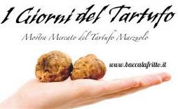 Immagine - Tartufo marzuolo: al via la XIX mostra mercato di Cigoli