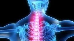 Immagine - Medicina: lesioni spinali, le nuove necessità dei pazienti