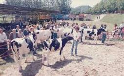Immagine - Mugello: tra tradizione e innovazione, la fiera agricola a Borgo San Lorenzo