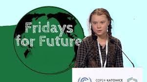 Immagine - FridaysForFuture