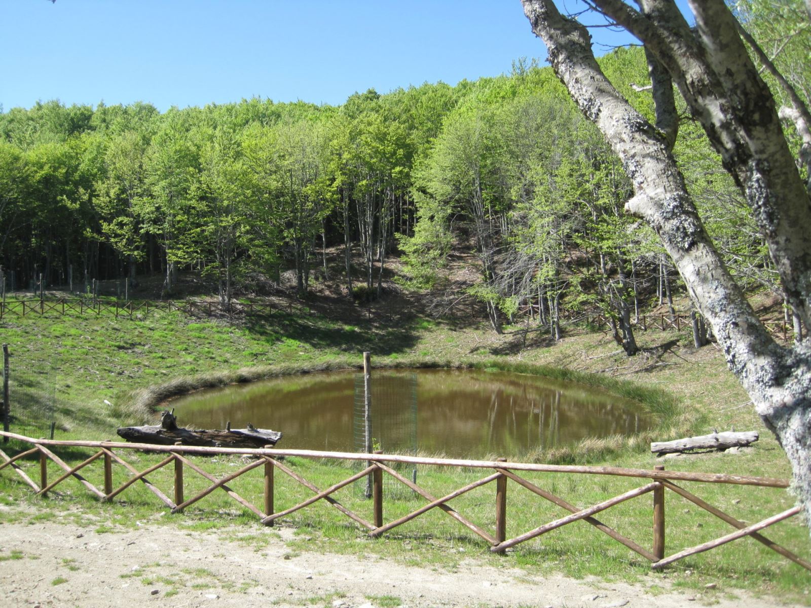Il lago degli idoli, luogo di devozione per gli etruschi