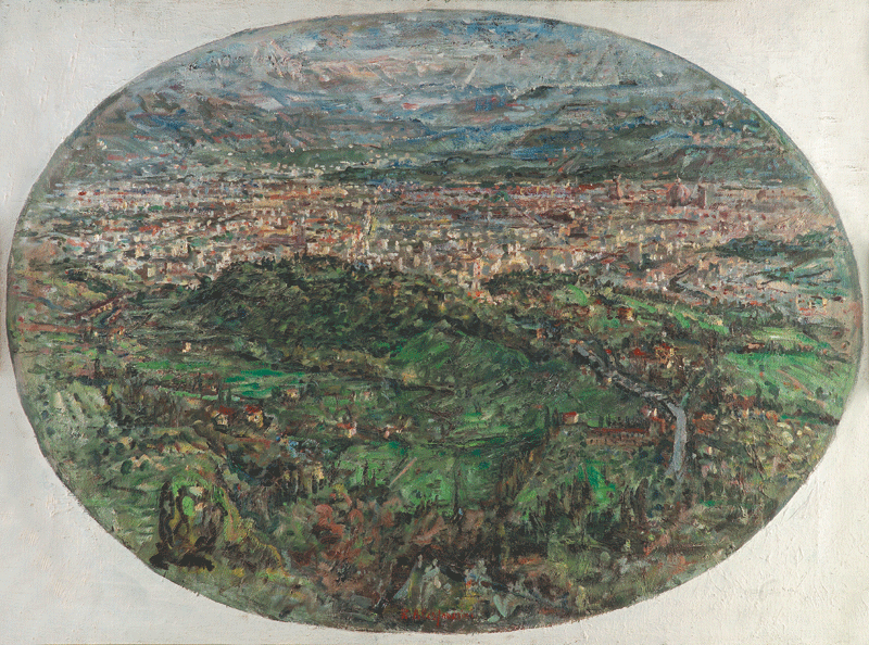 Firenze Vista dall'alto