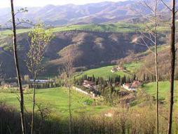 Immagine - Forteto: commissione approva relazione unanime, domani conferenza stampa