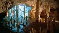 Immagine - Gonfalone d'argento: insignito Vittorio Verole Bozzello