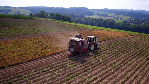 Immagine - Agricoltura toscana