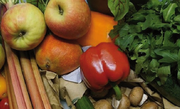 La dieta e la persona: presentazione del libro di Tiziana Stallone